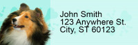 Collie Pups Keith Kimberlin Address Labels | LRRKKM-33