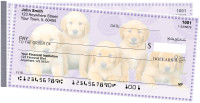 Golden Retriever Pups Keith Kimberlin Side Tear Checks | STKKM-13
