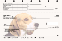 Beagles Top Stub Checks | TSDOG-12