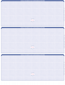 Blue Safety Blank High Security 3 Per Page Laser Checks