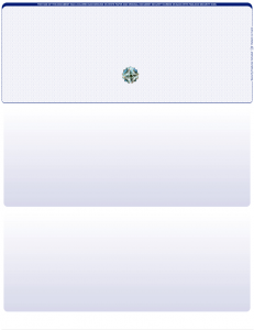 Blue Safety Blank Value Hologram Top Laser Checks