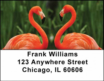 Flamingos Address Labels | LBANI-24