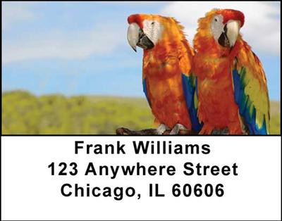 Parrots Address Labels | LBANI-41