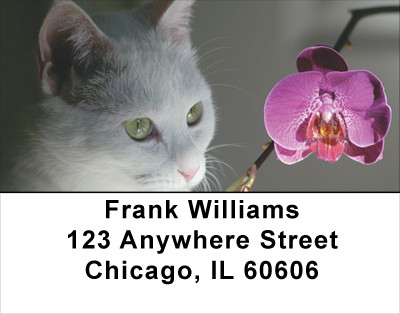 Flowers & Felines Address Labels | LBANJ-12