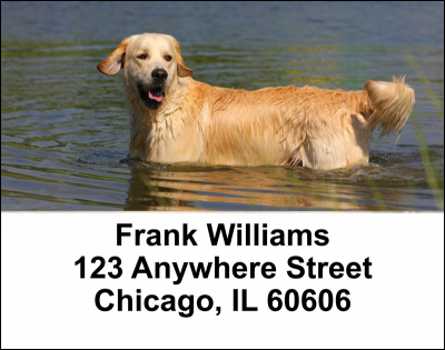 Golden Retriever Address Labels | LBDOG-39