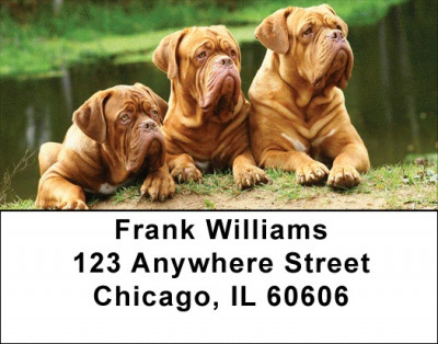 Majestic Mastiff Address Labels | LBDOG-41