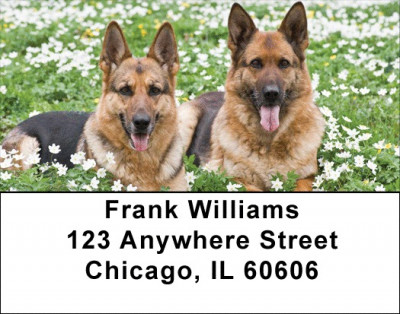 German Shepherd Address Labels | LBDOG-44