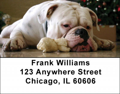 Cute English Bulldog Address Labels | LBDOG-50