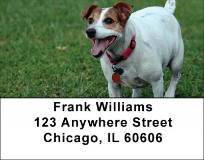 Mischievous Jack Russells Address Labels | LBDOG-58