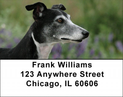 Wily Whippets Address Labels | LBDOG-75