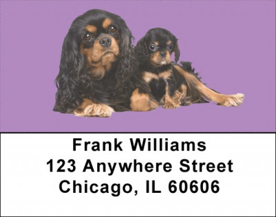 Cavalier King Charles Puppies Address Labels | LBEVC-39