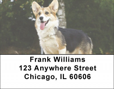 Corgi Dog Address Labels | LBEVC-45
