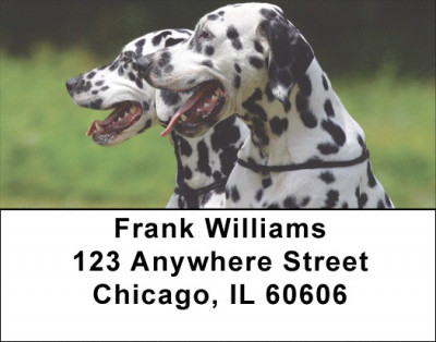 Dalmatian Dogs Address Labels | LBEVC-49