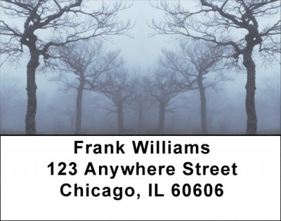 Forest of Mystery Address Labels | LBEVC-57