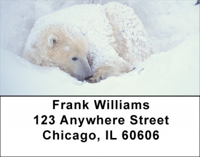 Precious Polar Bear Cubs Address Labels | LBEVC-80