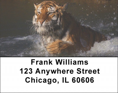 Tigers Address Labels | LBEVC-92