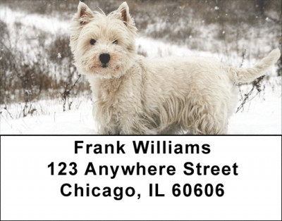 Westie Dog Address Labels | LBEVC-97