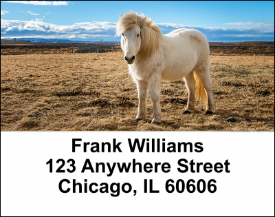 Wild Horses Address Labels | LBEVC-99