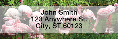 Flamingos Rectangle Address Labels | LRANI-24