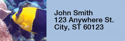 Tropical Fish Narrow Address Labels | LRRANI-01