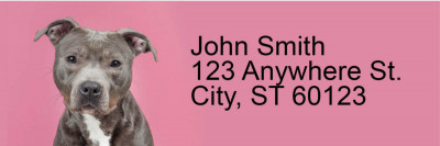 Bully Breed Love Address Labels | LRRDOG-113