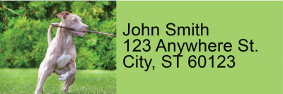Pit Bull Pals Address Labels | LRRDOG-119