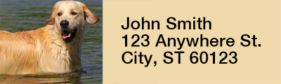 Golden Retriever Rectangle Address Labels | LRRDOG-39