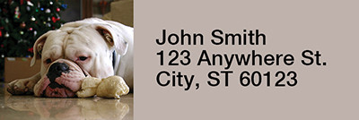 Cute English Bulldog Rectangle Address Labels | LRRDOG-50