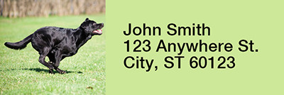Brilliant Black Labs Rectangle Address Labels | LRRDOG-52