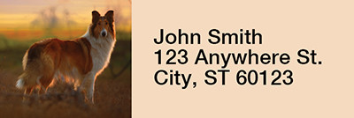 Collies Out and About Rectangle Address Labels | LRRDOG-76
