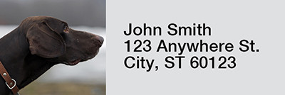 Grand German Shorthair Pointer Rectangle Address Labels | LRRDOG-78