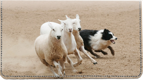 Border Collie at Work Leather Cover | CDP-DOG46