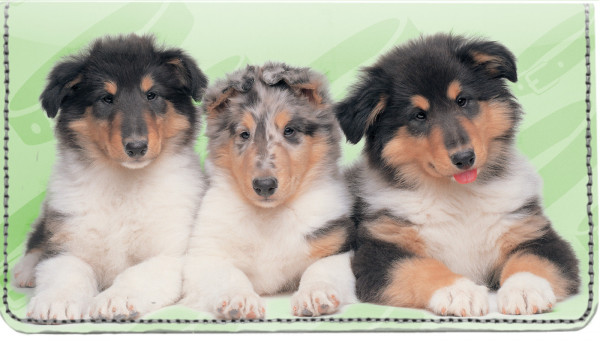 Collie Pups Keith Kimberlin Leather Cover | CDP-KKM33