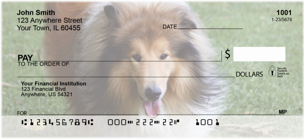 Collies Out And About Personal Checks