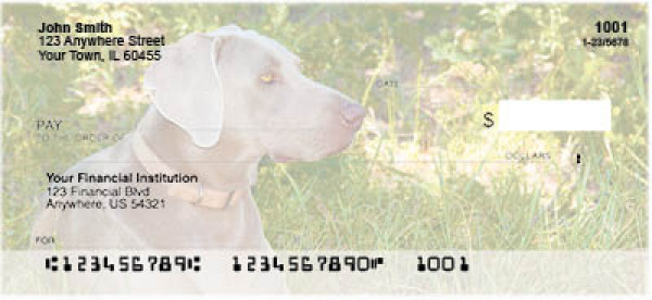 Weimaraner Dog Personal Checks