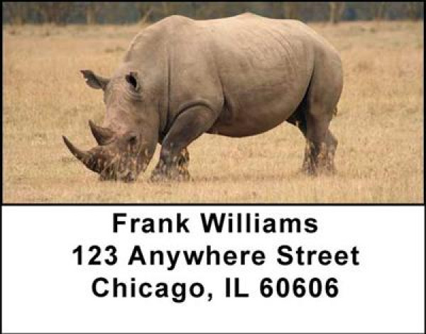 Rhinos Address Labels