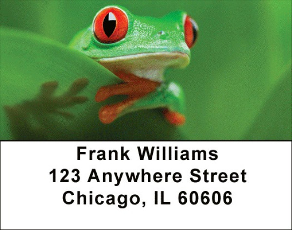 More Tree Frogs Address Labels | LBANJ-A9