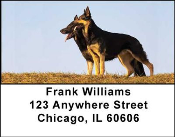 German Shepherds Address Labels | LBDOG-01