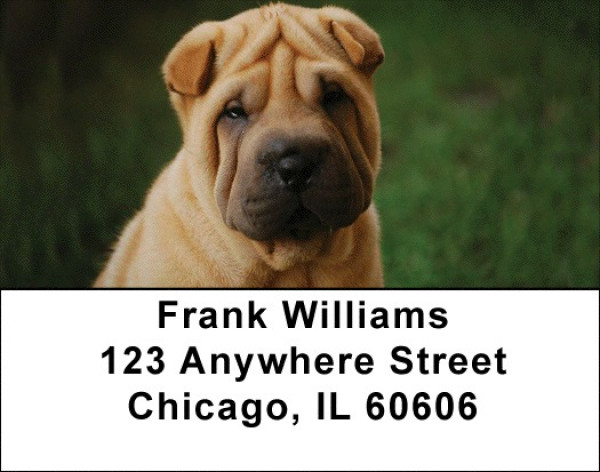 Shar Pei Address Labels | LBDOG-48