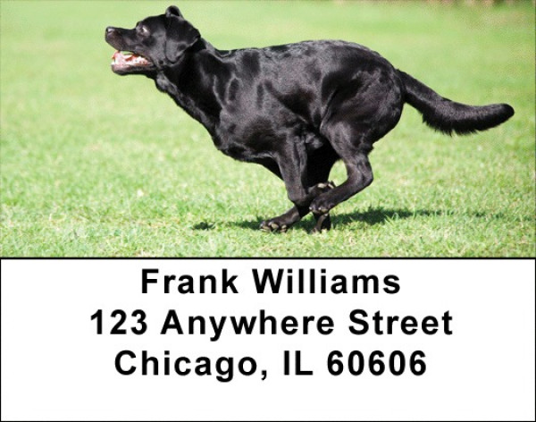 Brilliant Black Labs Address Labels | LBDOG-52