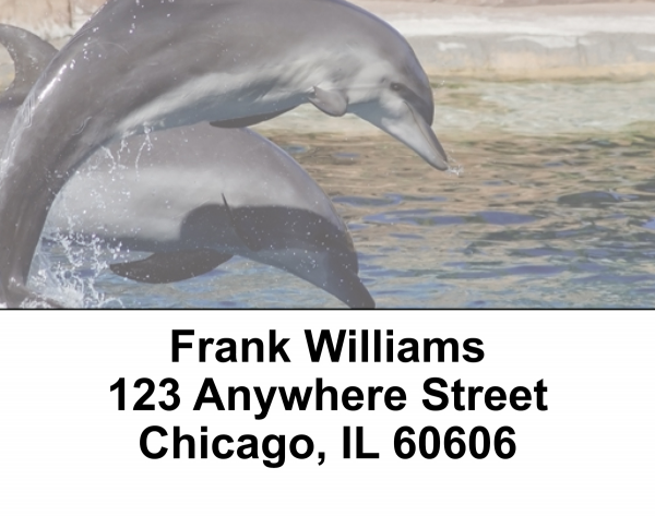 Dolphin Photos Address Labels
