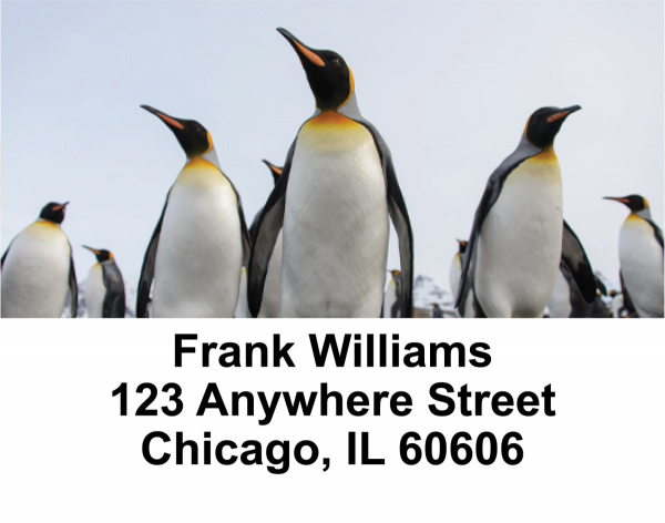 Penguin Checks Address Labels