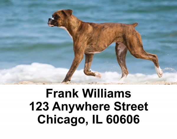 Boxer Dogs Address Labels | LBEVC-30