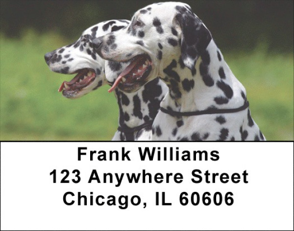 Dalmatian Dogs Address Labels | LBEVC-49