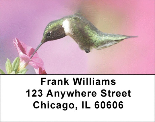 Humingbird Checks Address Labels