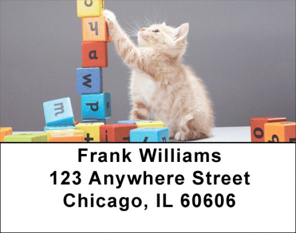 Kittens At Play Address Labels