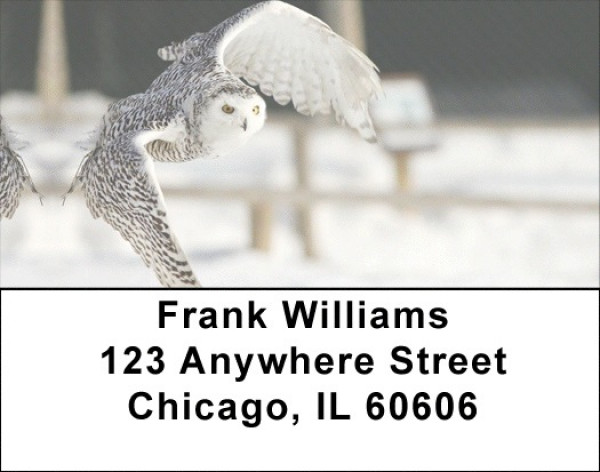 Owl Flight Address Labels | LBEVC-76