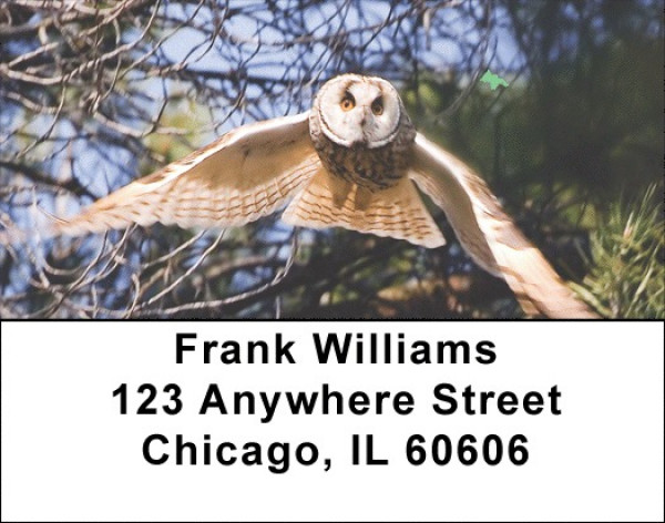 Owl Flight Address Labels