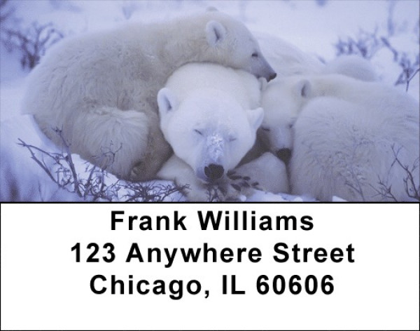 Precious Polar Bear Cubs Address Labels