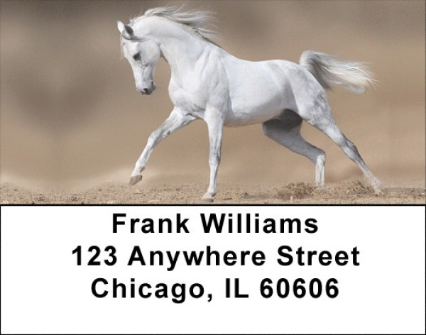 White Stallions Address Labels